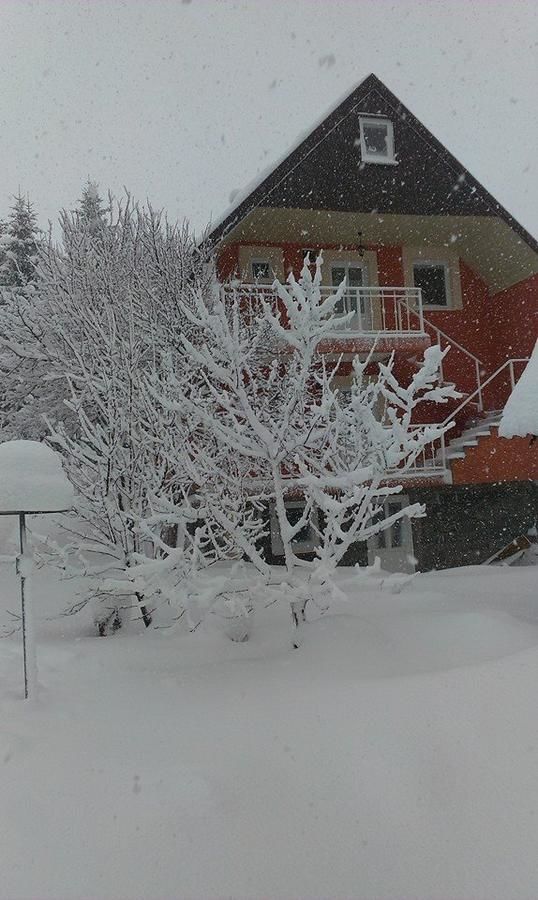 Апартаменты Apartments Dedeic Жабляк-17