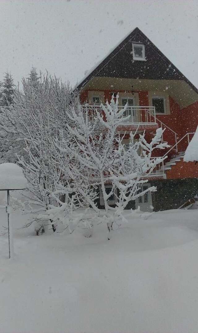 Апартаменты Apartments Dedeic Жабляк-16